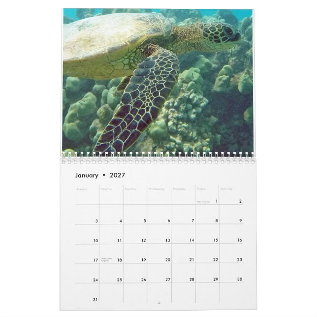 Calendario Tortugas de Hawái (Jan 2027)