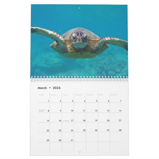Calendario Tortugas de Hawái (Mar 2026)
