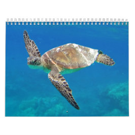 Calendario Tortugas de Hawaii
