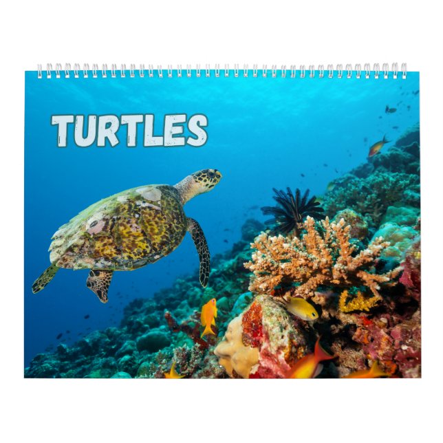 Calendario Tortugas marinas y tortugas (Tapa)