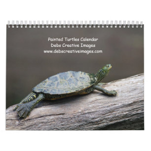 Calendario Tortugas Pintadas de Adirondack 2027 Vida Silves