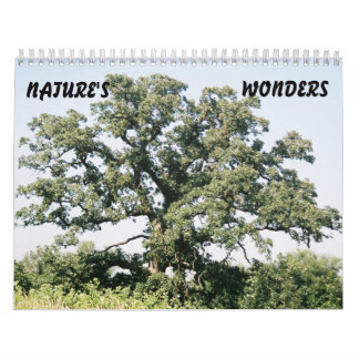 Calendario Tree-02, NATURALEZA, SE PREGUNTA