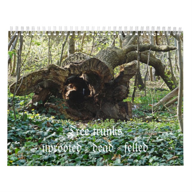 Calendario Tree trunks uprooted felled - dead - (Tapa)