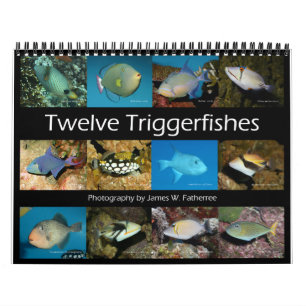 Calendario Triggerfishes Wall Calendar de J.W. Padre.