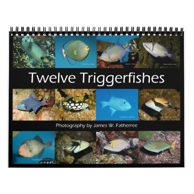 Calendario Triggerfishes Wall Calendar de J.W. Padre. (Tapa)