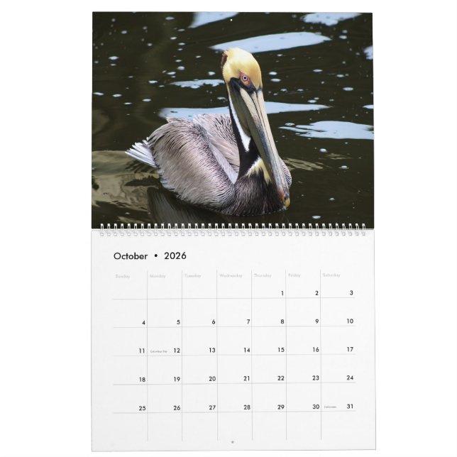 Calendario Tropical 2025, Aves De Playa En El Para (Oct 2026)