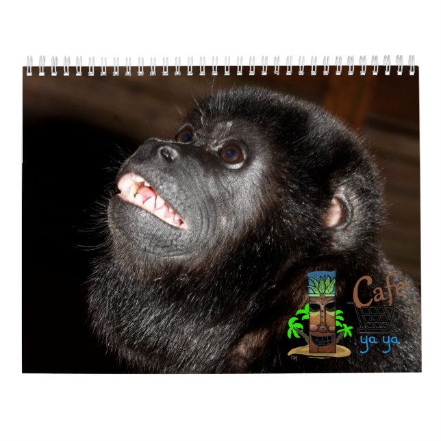 Calendario tropical de arte insular (Reverso)
