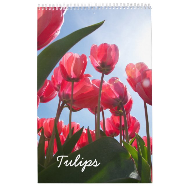 Calendario Tulip (Tapa)