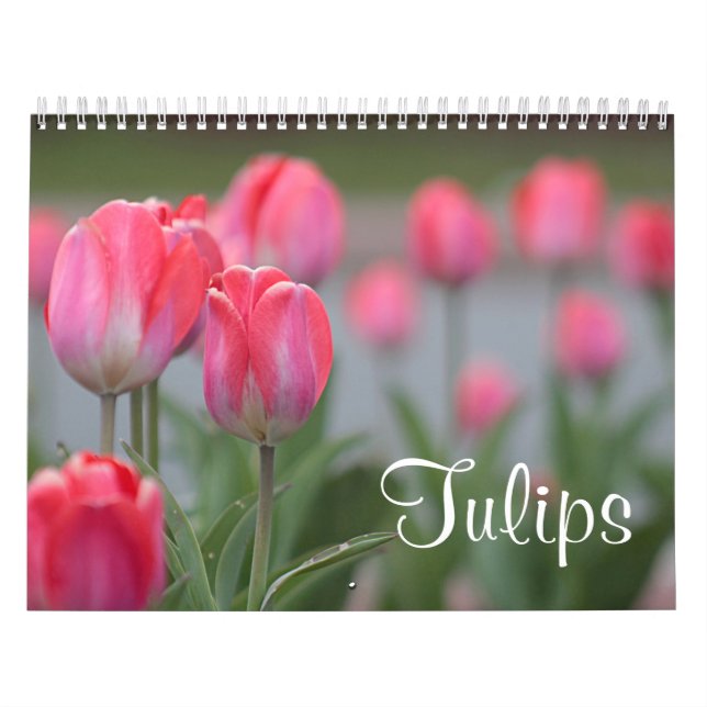 Calendario Tulipanes (Tapa)