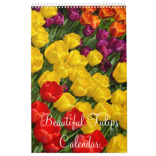 Calendario Tulipanes coloridos (Tapa)