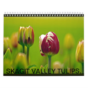 CALENDARIO TULIPANES DEL VALLE DE SKAGIT