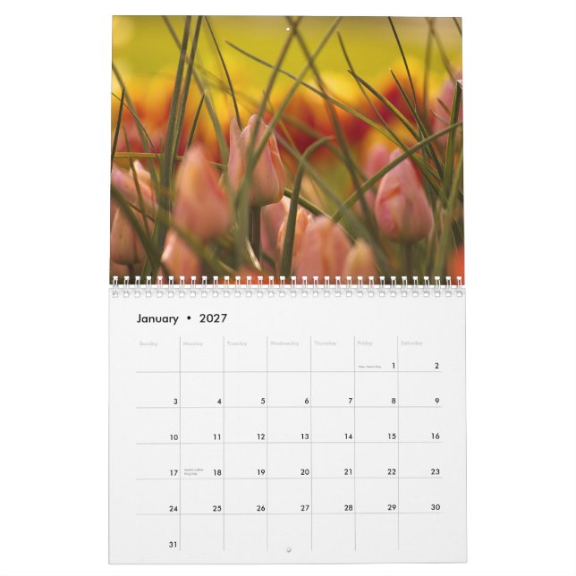 CALENDARIO TULIPANES DEL VALLE DE SKAGIT (Jan 2027)