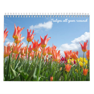 Calendario Tulipanes durante todo el año