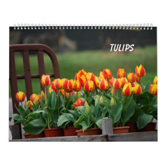 Calendario Tulipanos