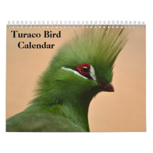 Calendario Turaco Bird 2025