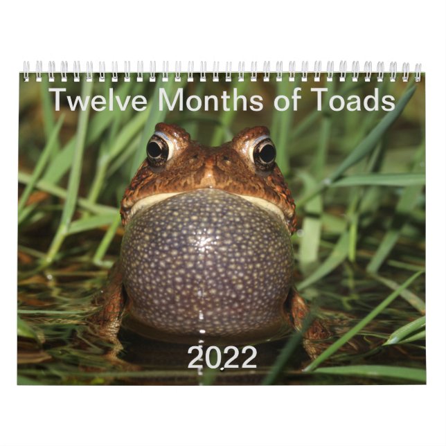Calendario Twelve Months of Toads: 2022 Calendar (Tapa)