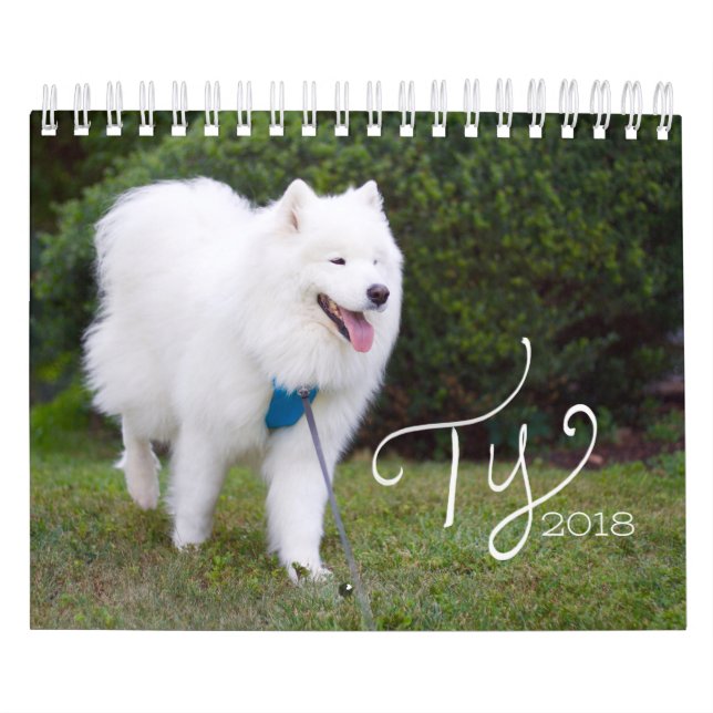 Calendario Ty 2018 (Tapa)
