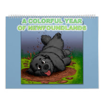 Un año colorido de Terranovas