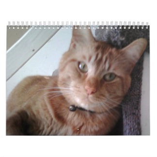 Calendario Un año con el Pokey