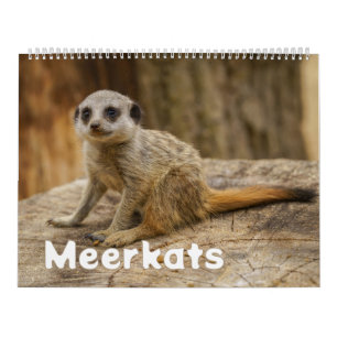 Calendario Un año con los Meerkats
