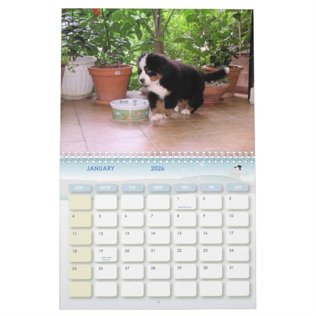 Calendario Un año de Berner (Jan 2026)