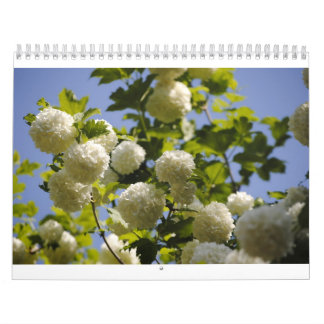 Calendario un año de flores
