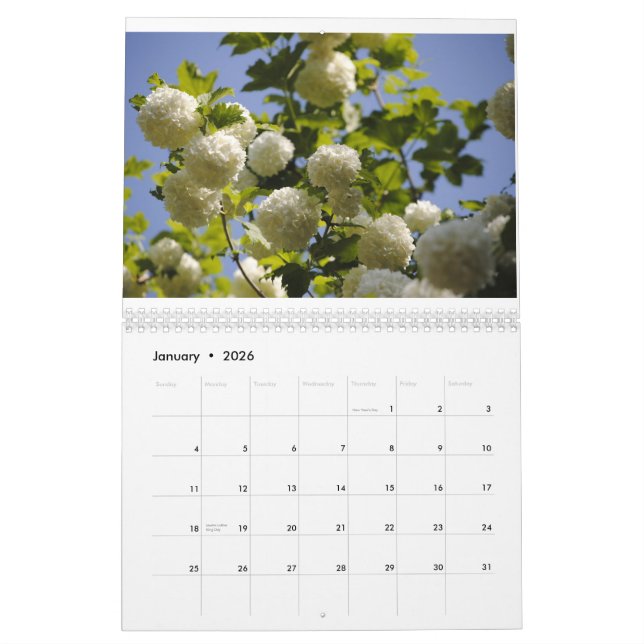 Calendario un año de flores (Jan 2026)