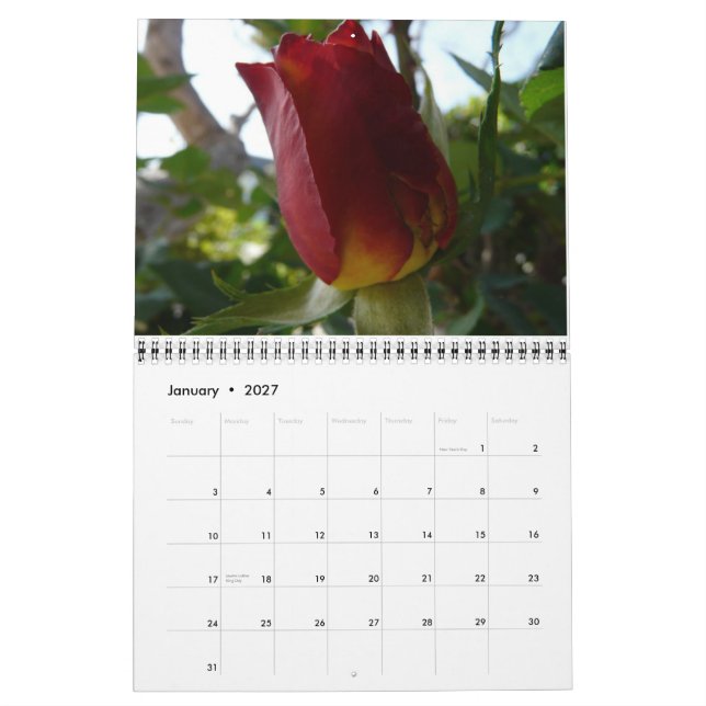 Calendario Un año de flores (Jan 2027)