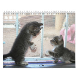 Calendario Un año de fuzzybutts