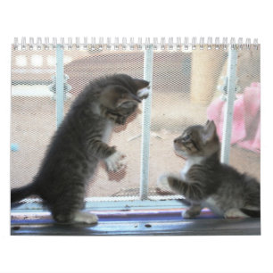 Calendario Un año de fuzzybutts