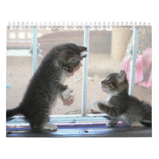 Calendario Un año de fuzzybutts (Tapa)