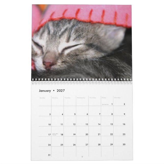 Calendario Un año de fuzzybutts (Jan 2027)