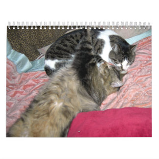 Calendario Un año de gatos gatos gatos (edición estadounidens