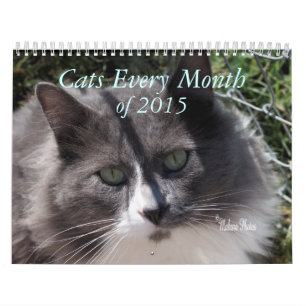 Calendario Un año de gatos - personalizar a cualquier año