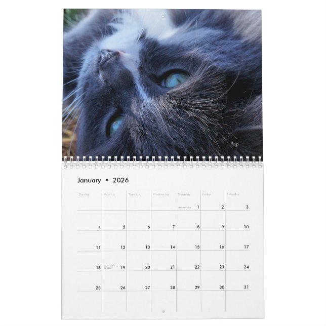 Calendario Un año de gatos - personalizar a cualquier año (Jan 2026)