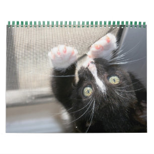 Calendario Un año de nítidas nalgas