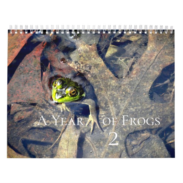 Calendario Un año de ranas 2 (Tapa)
