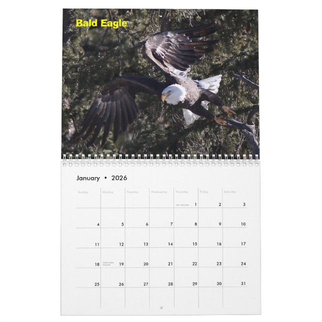Calendario Un año de rapaces (Jan 2026)