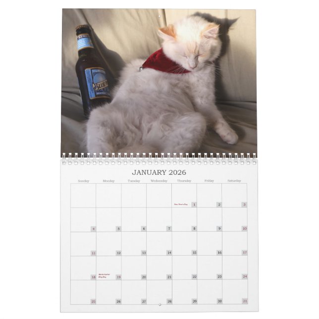 Calendario Un año de ridiculousness (Jan 2026)