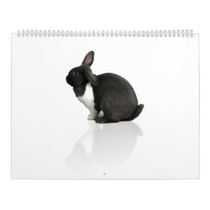 Calendario Un año de Rupert
