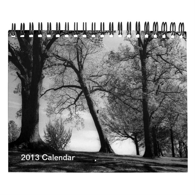 Calendario Un año en fotografía blanco y negro (Tapa)