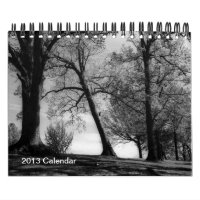 Un año en fotografía blanco y negro