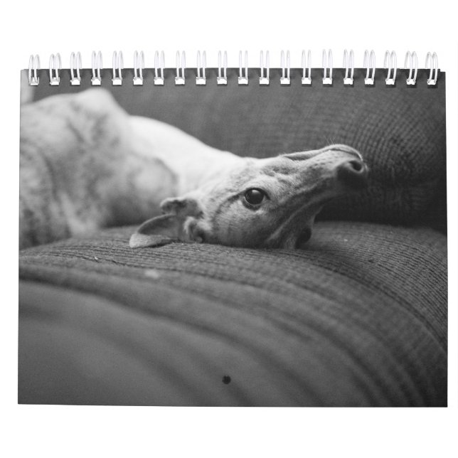 Calendario Un año en la vida de Enzo (Reverso)