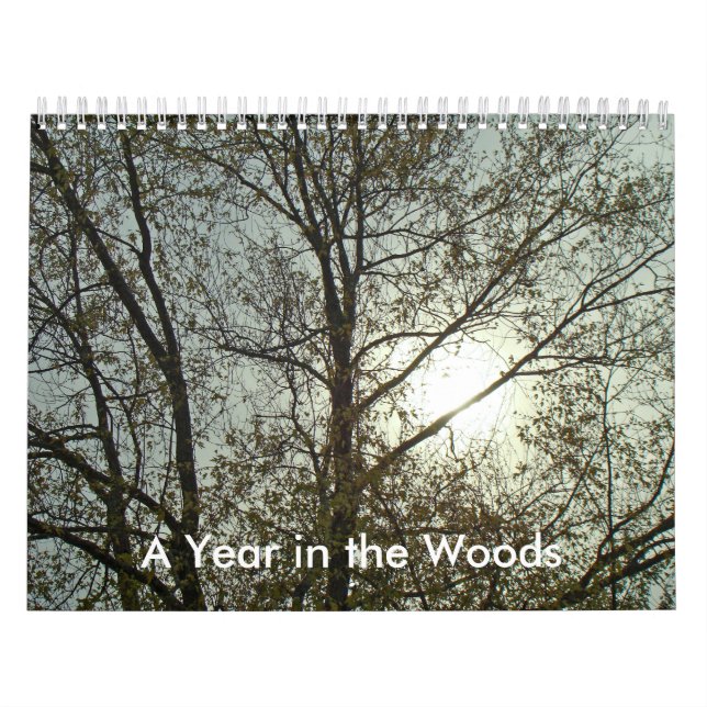 Calendario - Un año en los bosques (Tapa)