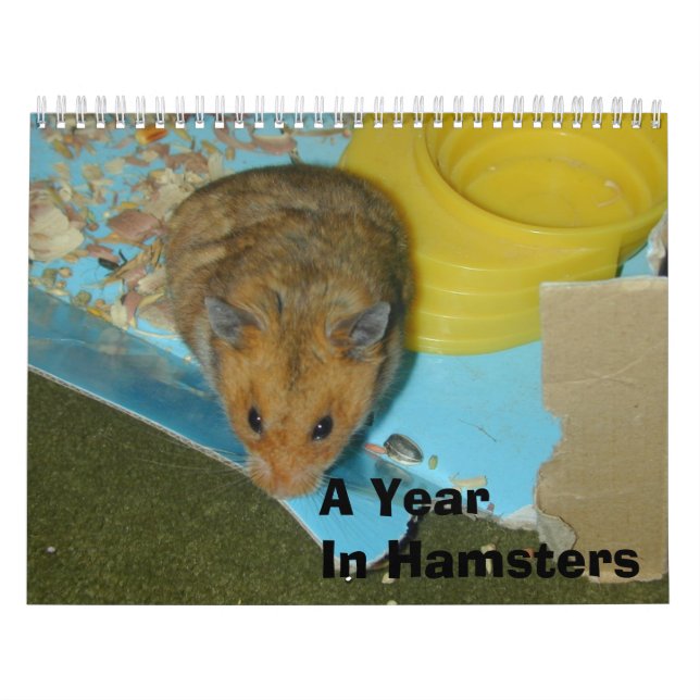 Calendario Un año en los hámsteres 2010 (Tapa)
