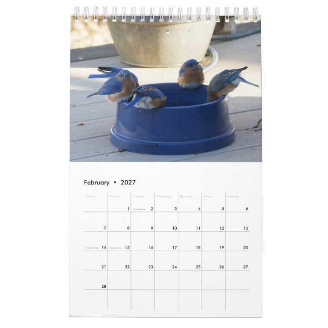 Calendario Un año lleno de Bluebirds (Feb 2027)