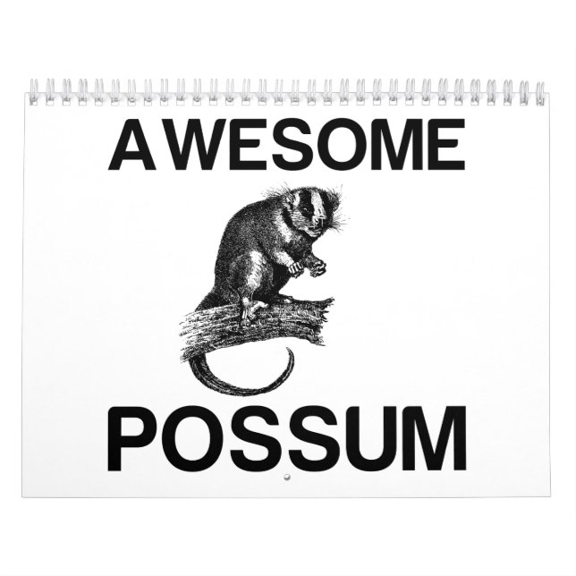 CALENDARIO UN ASOMBROSO POSSUM (Tapa)