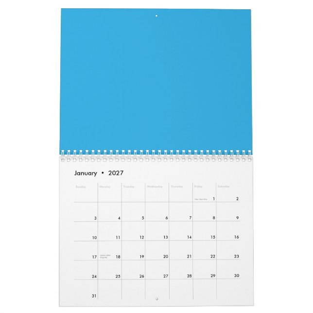 Calendario un fondo azul con un gato blanco y negro (Jan 2027)