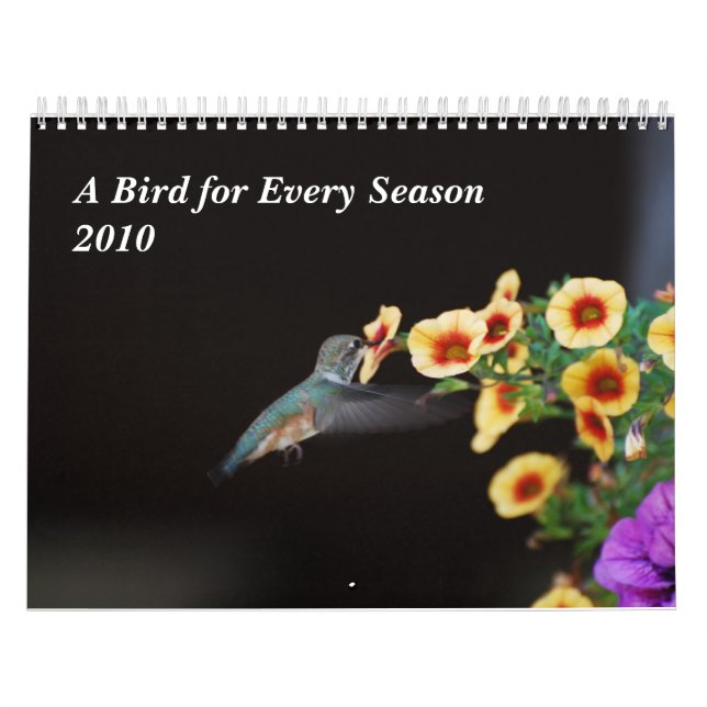 Calendario Un pájaro para cada estación (Tapa)