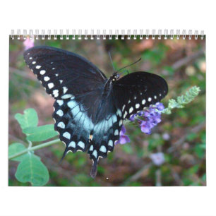 Calendario Un tacto de la mariposa de Sun